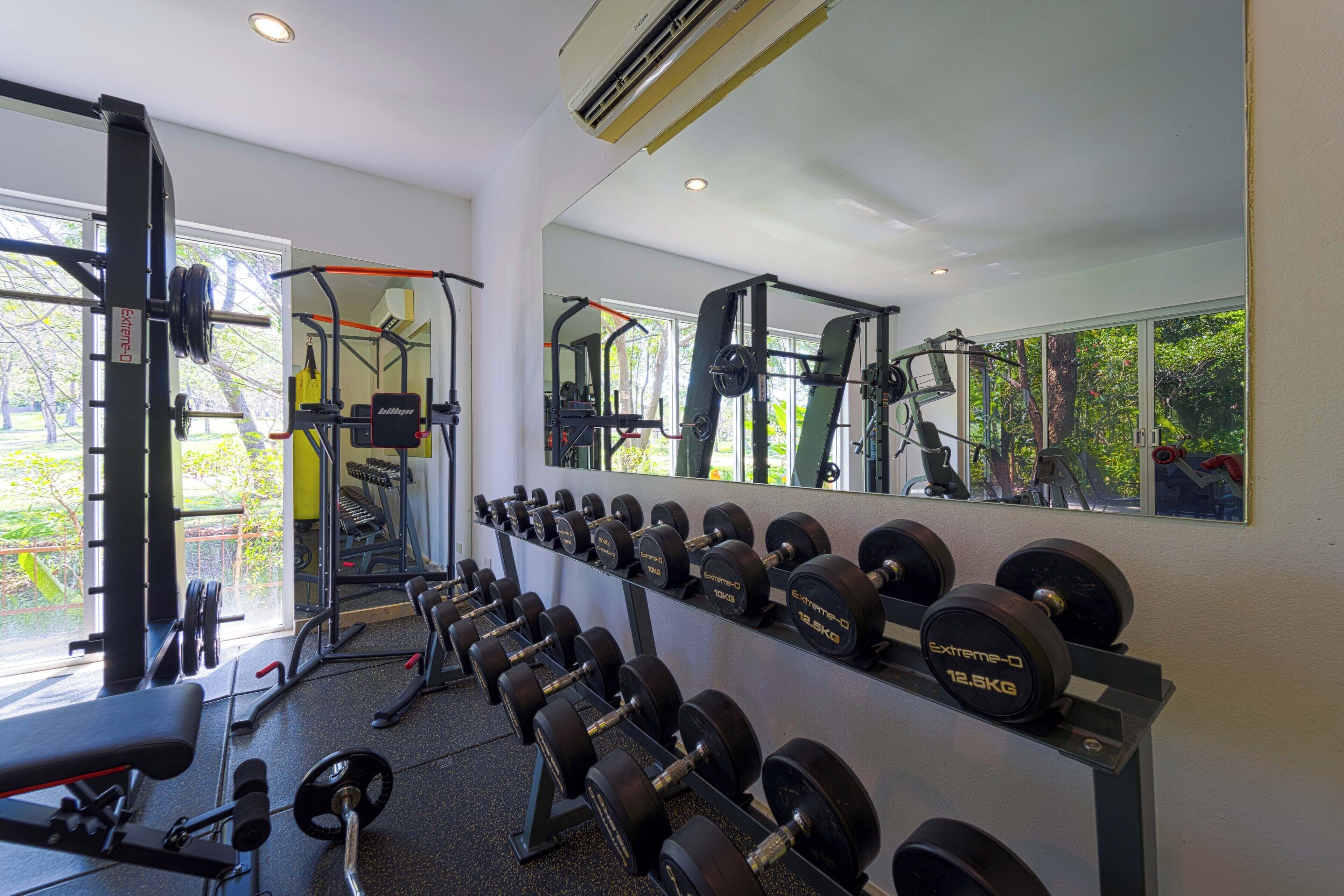 A gym with various exercise equipment, including dumbbells and weight machines, arranged along a wall with large windows.