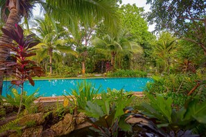 A pool surrounded by lush tropical vegetation and palm trees. - 6BR Luxury Tropical Pool Villa PH125 (Cha-am)