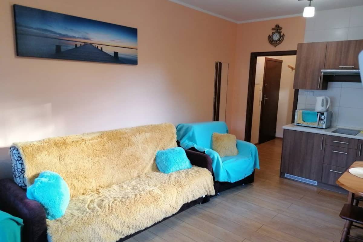 Un salon avec un canapé, un tableau accroché au mur et un coin cuisine équipé d’un four à micro-ondes.