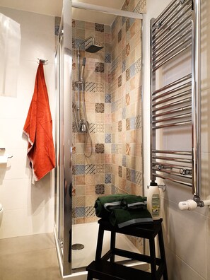 Hair dryer, towels, soap, toilet paper