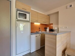 Fridge, microwave, dishwasher - Large duplex for 6/7 near slopes at Belle Plagne (Belle Plagne)