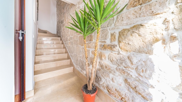 Un escalier avec un mur en pierre d’un côté et un pot de fleurs de l’autre.