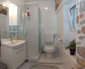 A modern bathroom with a glass-enclosed shower, a white sink, a toilet, and a small potted plant.