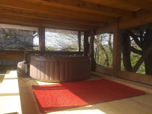 Cabin perched in the trees with jacuzzi and swimming pool