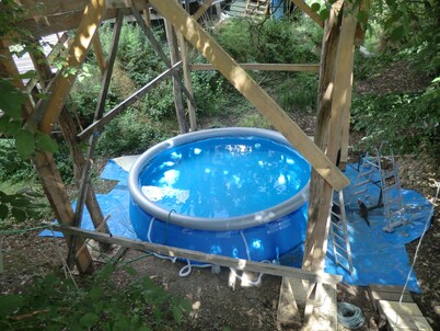 Cabin perched in the trees with jacuzzi and swimming pool