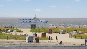 Ein Küstenabschnitt mit einem Boot, Strandkörben und einem Sandweg.