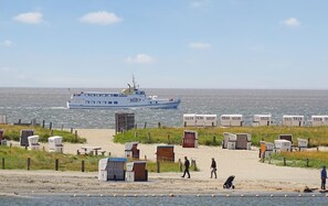 In Strandnähe, Angeln