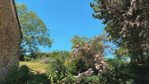 A stone building with a grassy yard and trees. - House in Perche (Marolles-les-Braults)