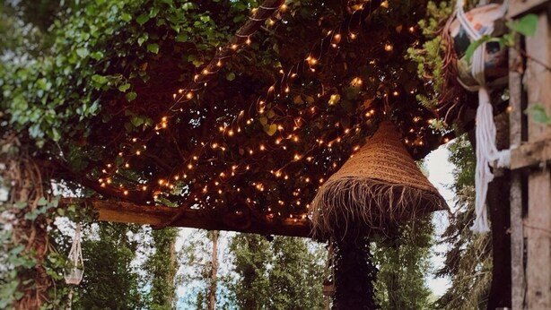 An outdoor dining area with a table under a string of lights, surrounded by greenery and potted plants. - House in Perche (Marolles-les-Braults)