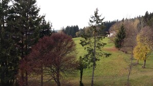 Un paisaje rural con un campo cubierto de hierba, árboles y una casa a lo lejos.