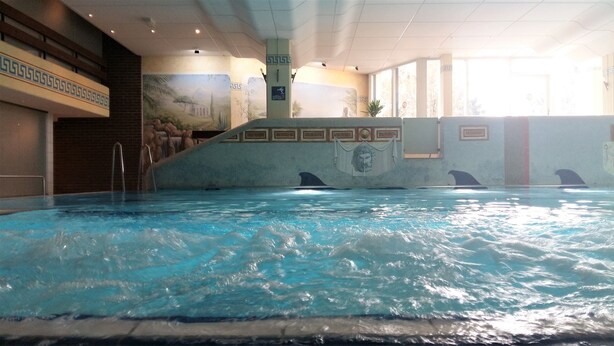 Una piscina interior con un mural de vida marina en las paredes.