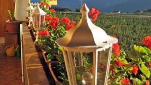 Une terrasse agrémentée de plantes en pot et de lanternes blanches, offrant une vue sur un paysage montagneux.