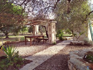 A garden with a pergola, a wooden table, and chairs.