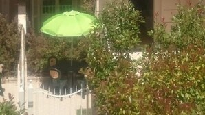 Un edificio de varios pisos con balcones, una sombrilla verde y un pequeño jardín.