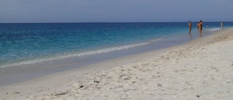 Serviettes de plage