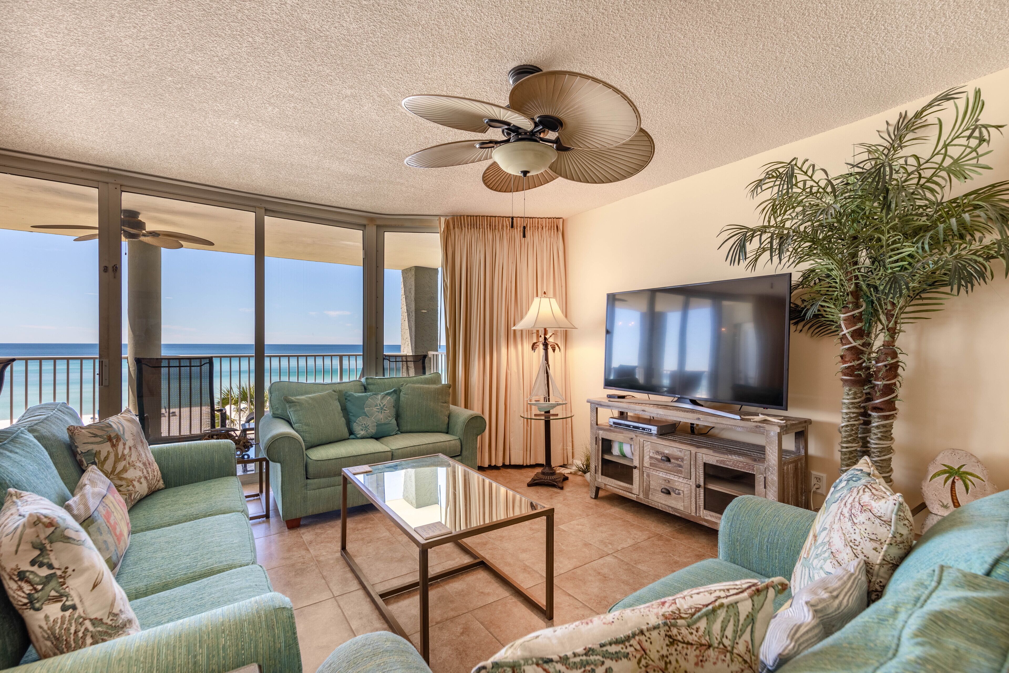 電視、DVD 播放機