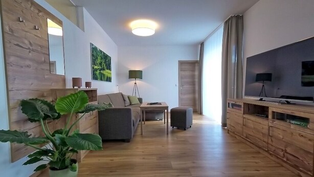A modern living room with a sofa, a coffee table, a TV, and a potted plant. - Vacation apartment Landglück Seegraben (Bechhofen)