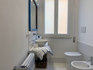 Ducha, cabezal de ducha tipo lluvia, secador de pelo, bidet
