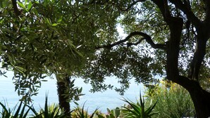 A hammock under a tree with a view of the sea. - House Limone (Recco)