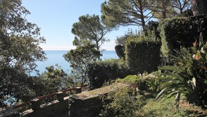 A stone staircase leading down to a coastal area with dense vegetation and a view of the sea. - Villa Limoni (Arenzano)