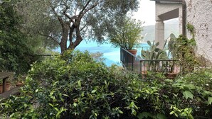 A balcony with a view of the sea, surrounded by dense foliage and a large tree. - House Mediterraneo (Moneglia)