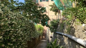 A narrow alleyway with a stone wall on one side and a building with green shutters on the other. - House Blue Sky (Genoa)