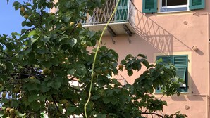 A building with a balcony, green shutters, and a clear sky. - House Blue Sky (Genoa)