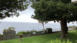 A coastal landscape with a stone wall, a tree, and a grassy area with ferns. - Villa Adele (Sori)