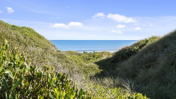 Un paysage côtier offrant une vue dégagée sur la mer, bordé de collines verdoyantes.