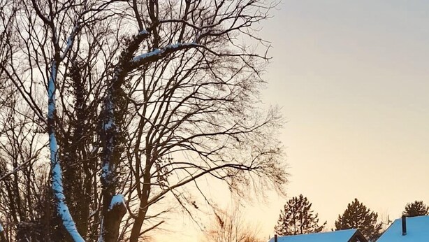Strada rurale innevata che conduce a case con tetti imbiancati e alberi spogli.