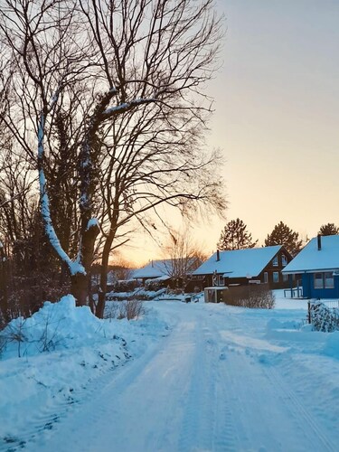 Extertal-Ferienpark - Comfort vacation home - Sauna Hiking Nature Forest Recreation #51