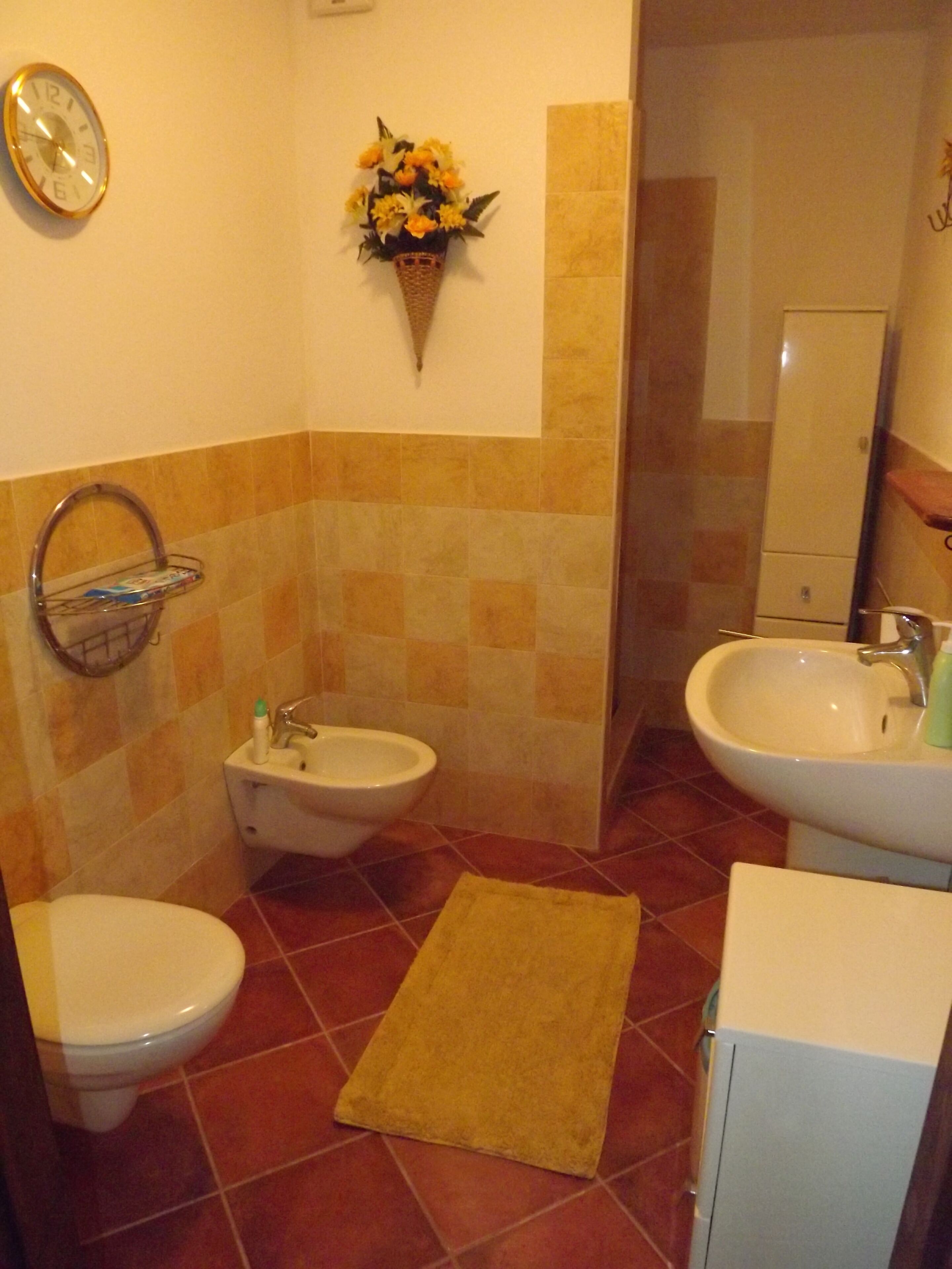 Dusche, Haartrockner, Bidet, Handtücher