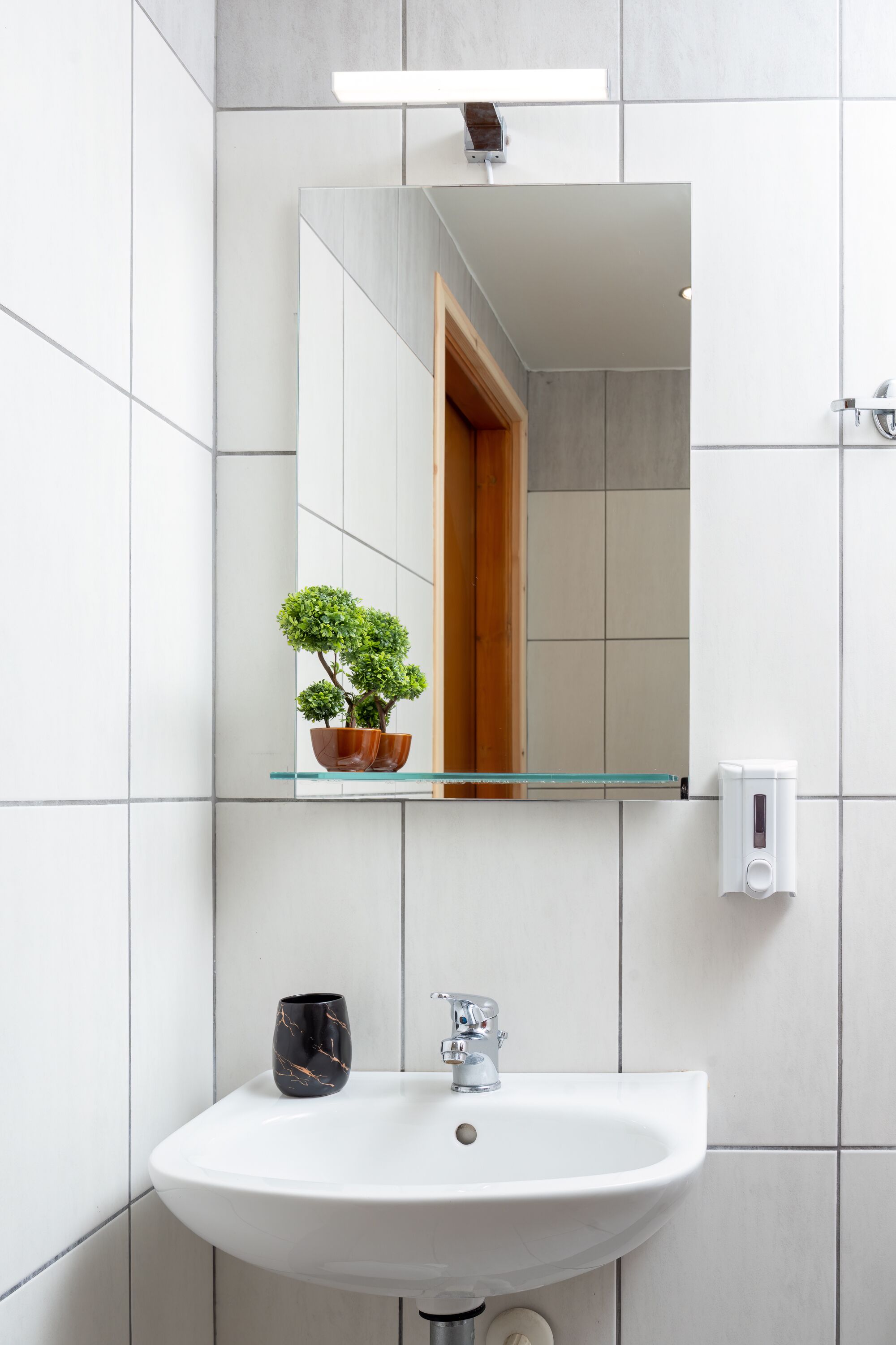 A bathroom with a white sink, a glass shelf with a potted plant, and a mirror above the sink.