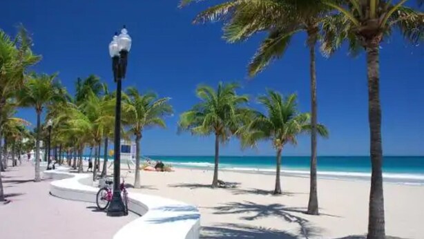 Une promenade en bord de mer bordée de palmiers, avec un vélo et une structure blanche aux lignes courbes.