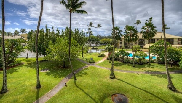 Un resort con piscina, palmeras y vista a un cuerpo de agua.