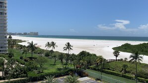Uitzicht op een strand met wuivende palmbomen en een zandstrand, vanaf een hoog gebouw, onder een heldere lucht.