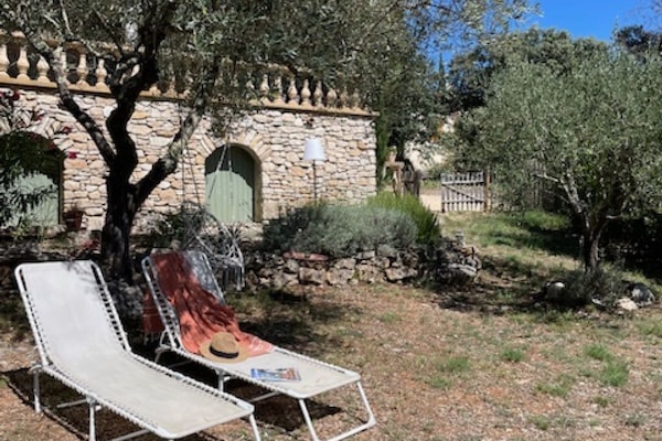 Les chaises longues sous l'Olivier