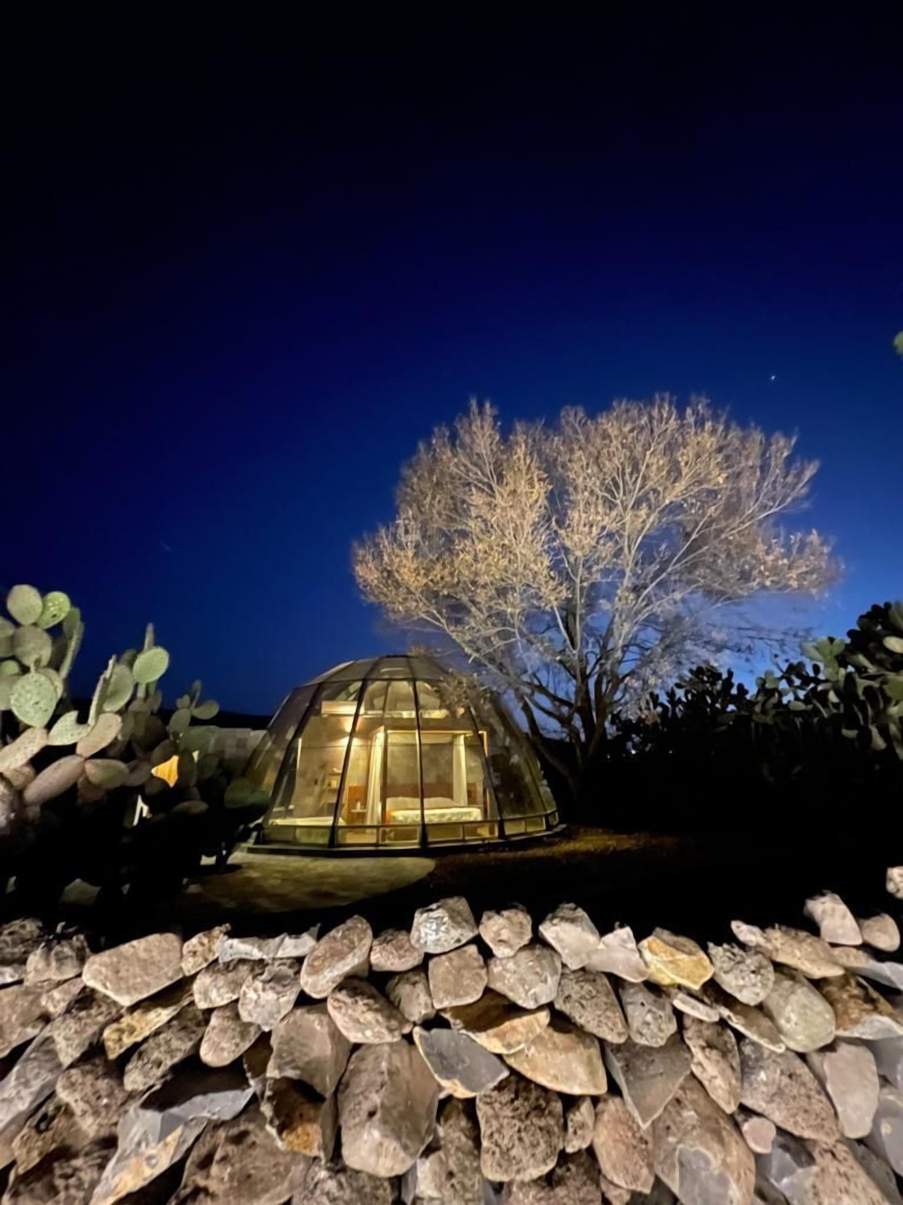 A dome-shaped glass structure with a bed and a window, surrounded by cacti and rocks.
