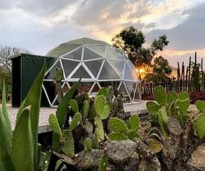 Nopal Mixteco | Egyptian cotton sheets, premium bedding, down duvets - Raices Glamping (Soyaniquilpan de Juárez)