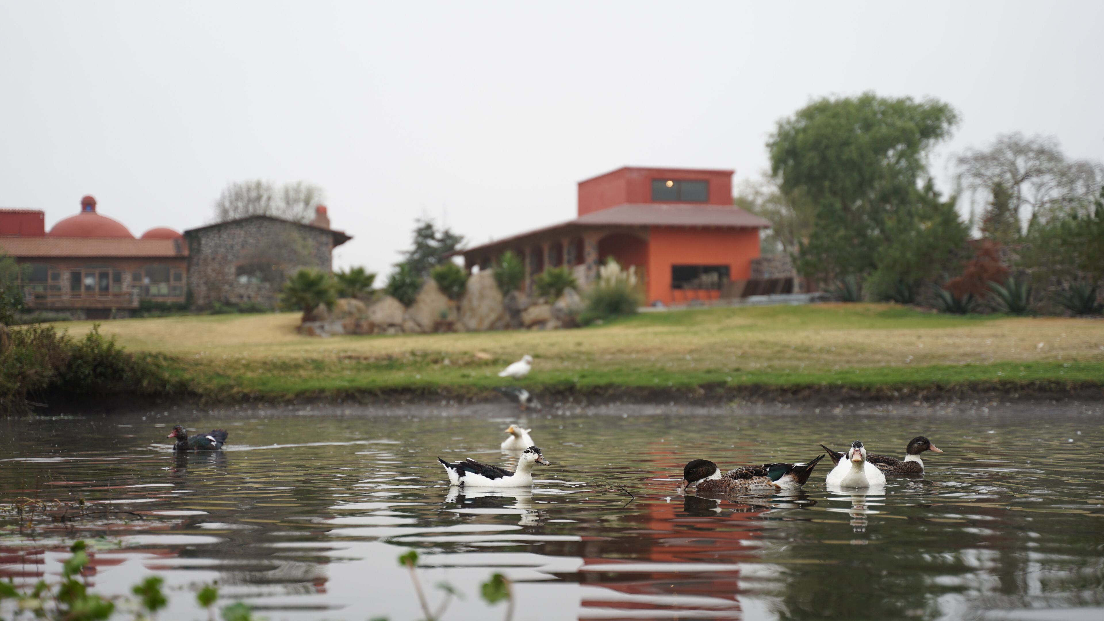 Área de parrilladas y picnic