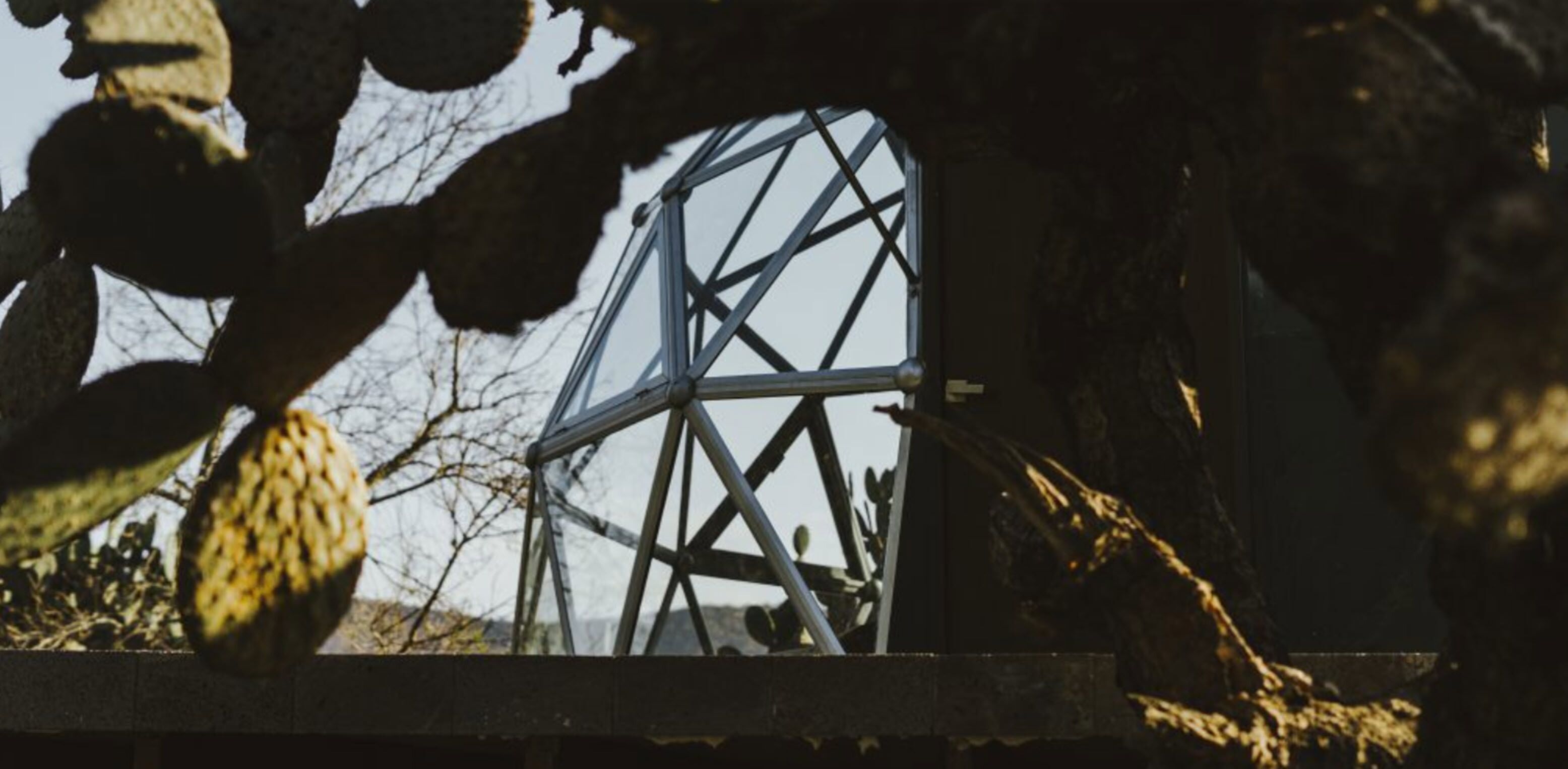 Nopal Mixteco | Utsikt fra rommet