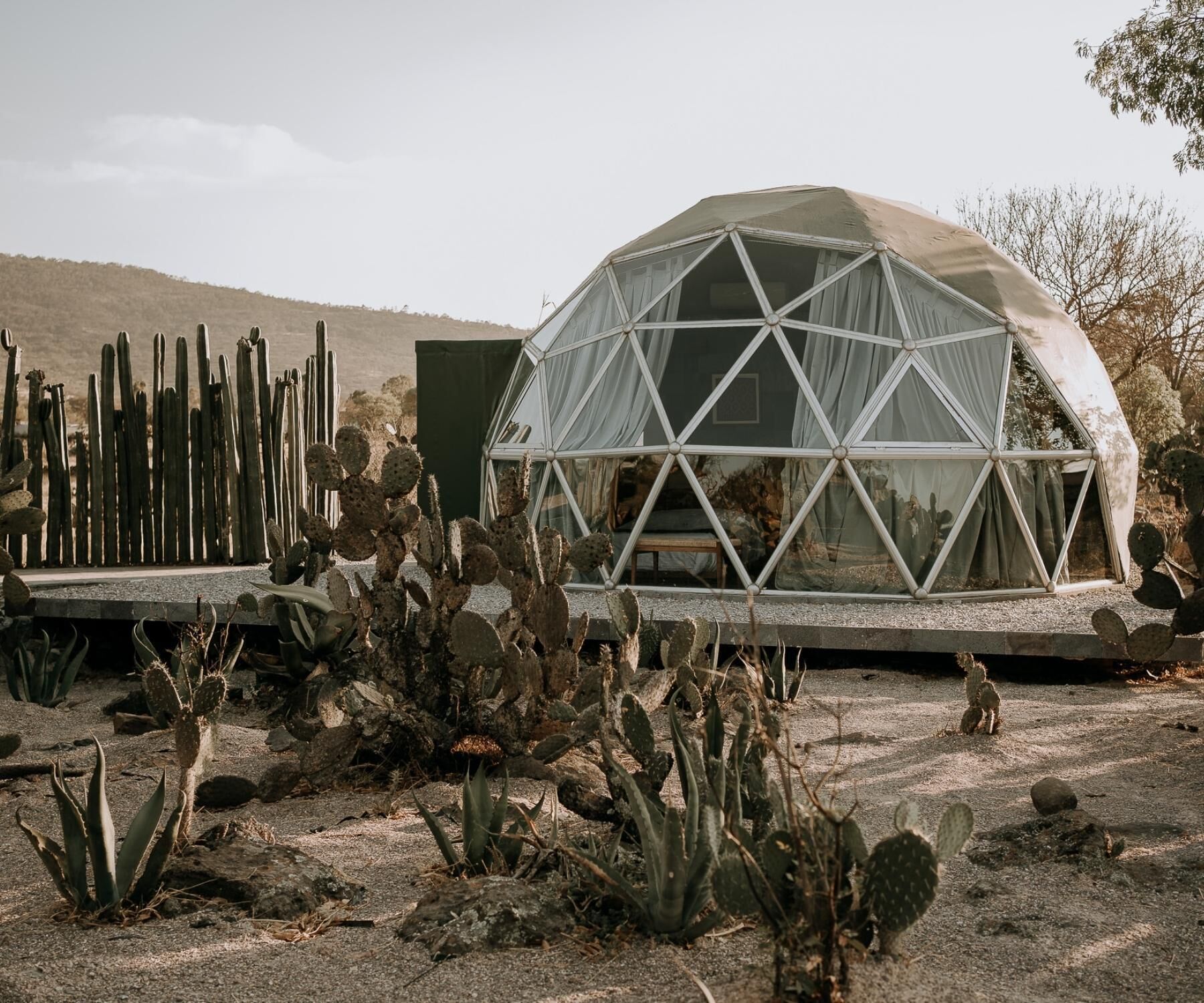 Nopal Mixteco | Terrace/patio