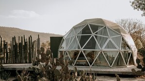 Une structure en forme de dôme géodésique dotée d’un toit transparent, entourée de cactus et de plantes désertiques.