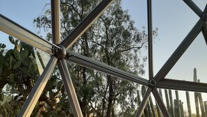 Un banc en bois, doté d’une assise en osier tressé, est placé sous une structure en verre et en métal, et offre une vue sur un jardin où l’on peut admirer des cactus et des arbres.