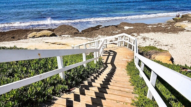 Un escalier en bois menant à une plage, avec des rampes blanches et une vue sur l’océan.