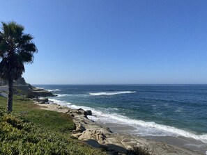 ビーチの近く、サンラウンジャー、ビーチタオル