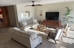 スマートテレビ、暖炉、DVD プレーヤー、書庫