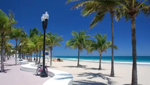 Een strand met palmbomen, een gebogen pad en een fiets.