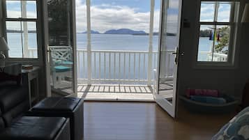 Een smart-tv, een open haard en een dvd-speler