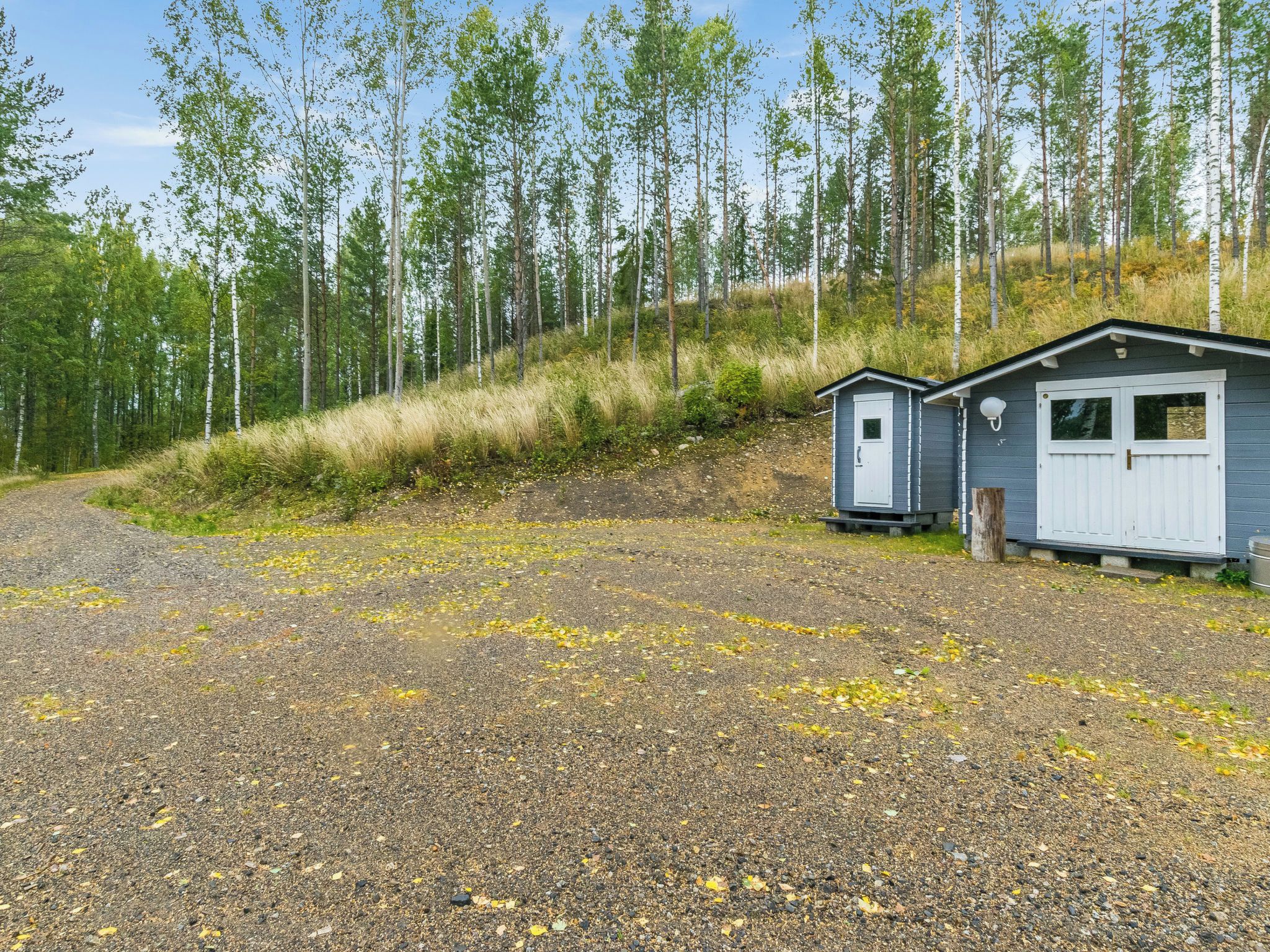 A gravel driveway leading to a small cabin with a shed, surrounded by a forested hillside.